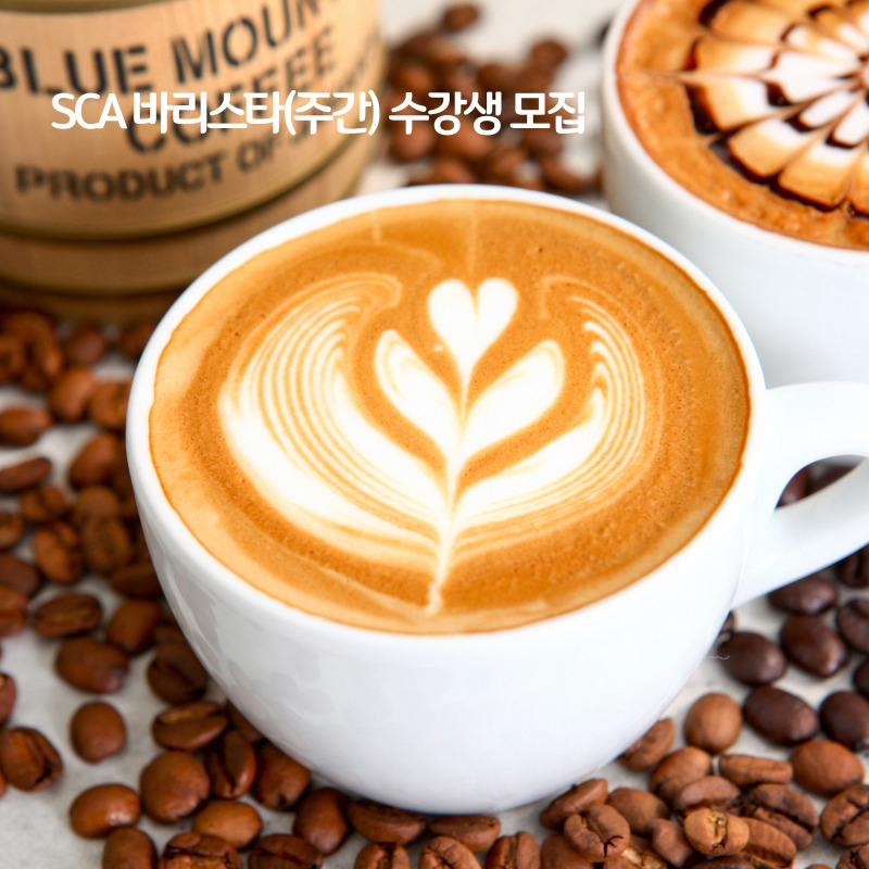SCA바리스타 초급 (오전)
