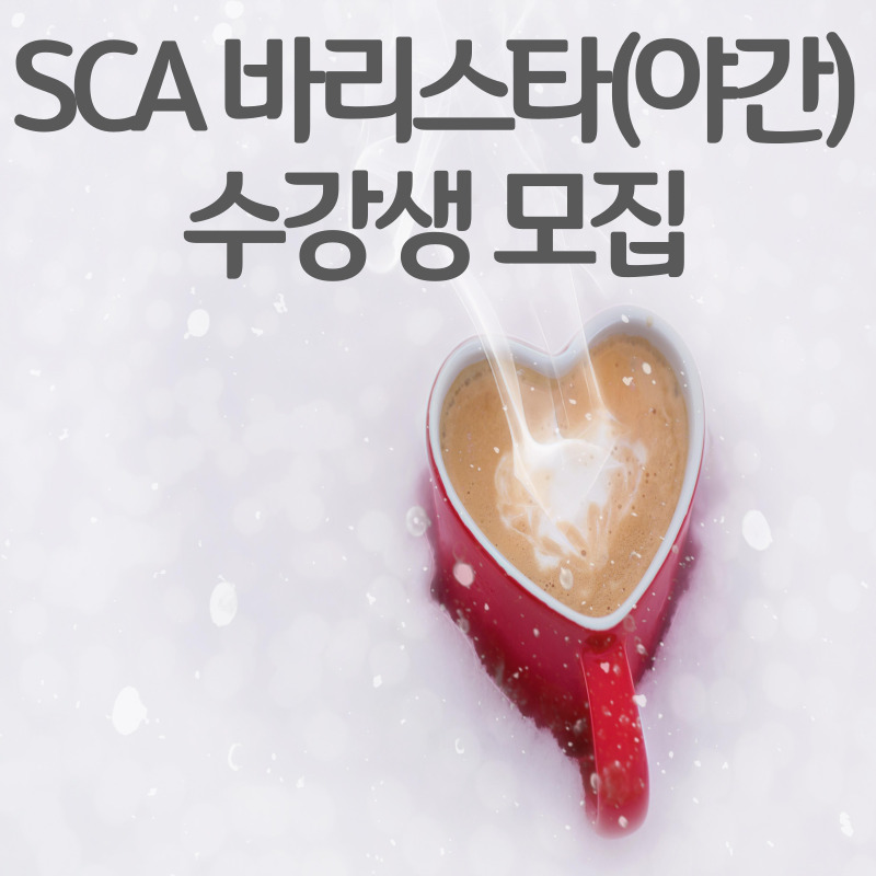 SCA바리스타 초급 (야간)