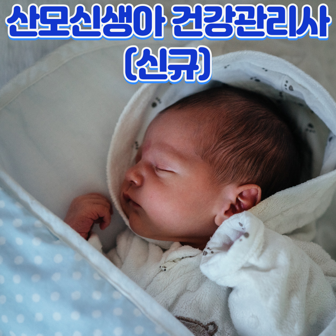 산모·신생아 건강관리사(신규)