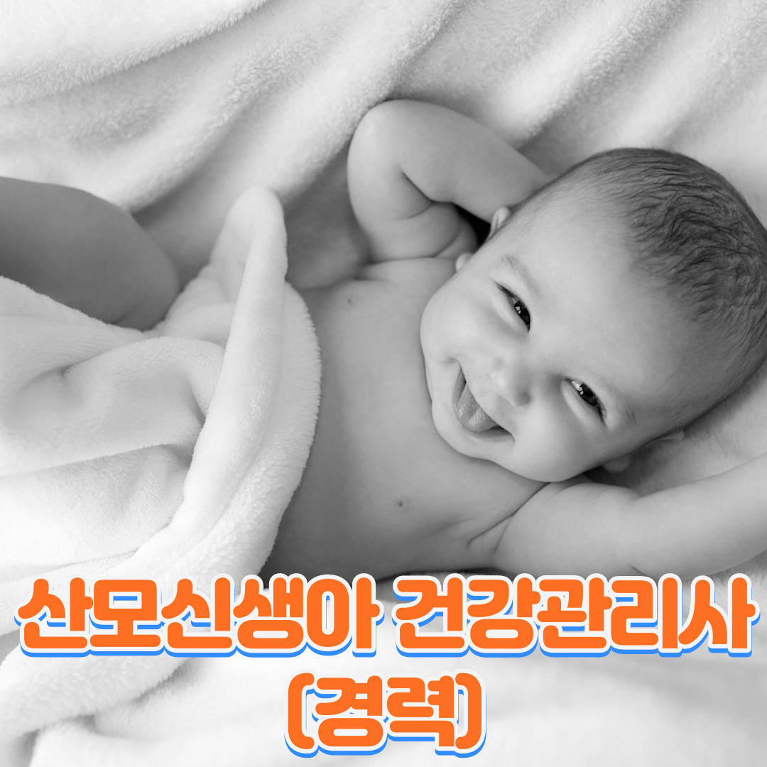 산모·신생아 건강관리사(경력)